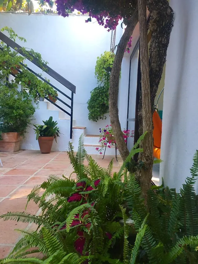 Casa Artola Hotel Marbella Apartment