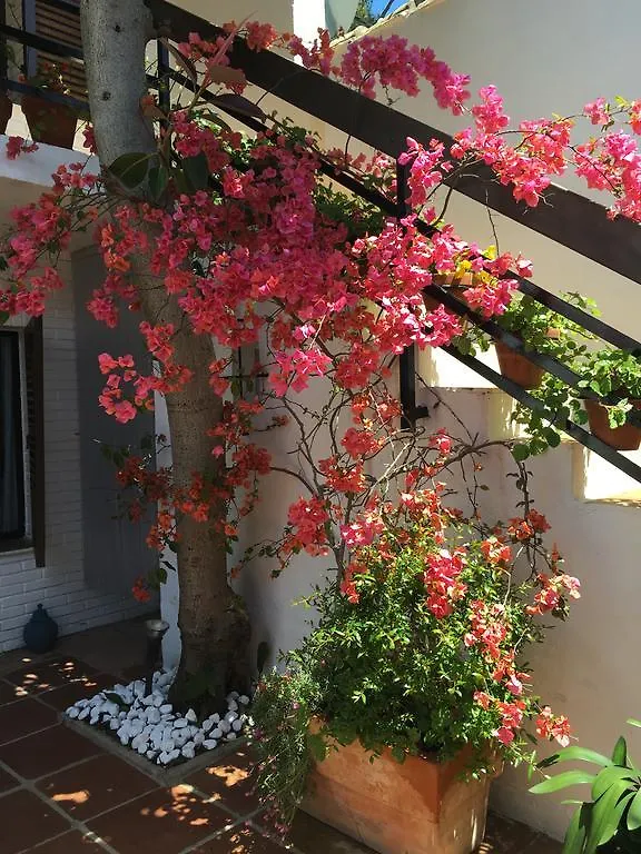 Casa Artola Hotel Marbella
